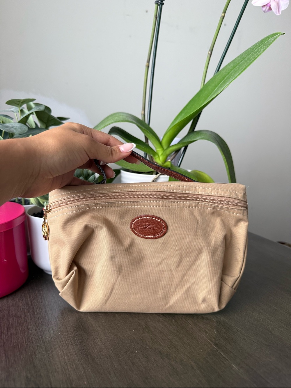 classic Longchamp Le Pliage cosmetic case